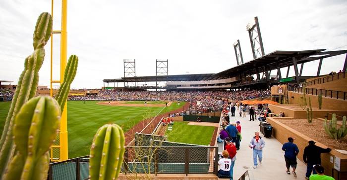 Cactus League volunteers